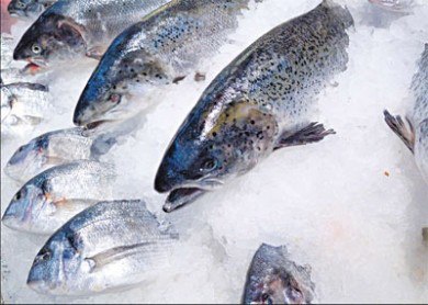 C&aacute;ch hay để chọn đồ đ&ocirc;ng lạnh chuẩn 1