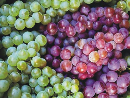 Những thực phẩm n&ecirc;n ăn cả vỏ 2