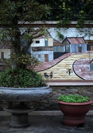 Độc đ&aacute;o nh&agrave; gi&agrave;u H&agrave; Nội biến chậu cảnh th&agrave;nh... vườn rau 3