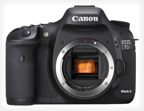 Canon 7D Mark II sẽ không ra mắt tại triển lãm CP 2013 tuần sau 1