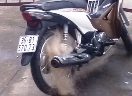 CSGT Thanh H&oacute;a nghi&ecirc;n cứu 's&uacute;ng bắn lưới bắt xe' 3