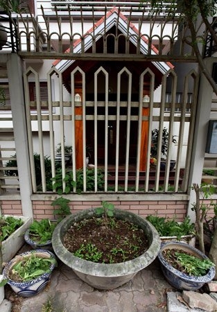Độc đ&aacute;o nh&agrave; gi&agrave;u H&agrave; Nội biến chậu cảnh th&agrave;nh... vườn rau 2