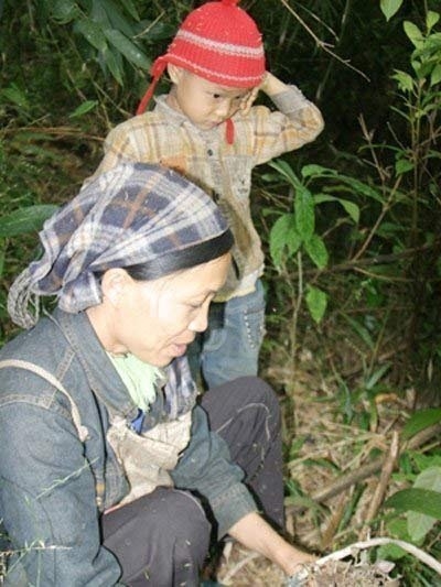 Thương l&aacute;i TQ mua tất tật 'thứ bỏ đi' của Việt Nam 4
