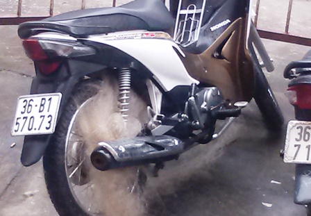 C&ocirc;ng an Thanh Ho&aacute; tiếp tục d&ugrave;ng lưới bắt &ldquo;qu&aacute;i xế&rdquo; 2