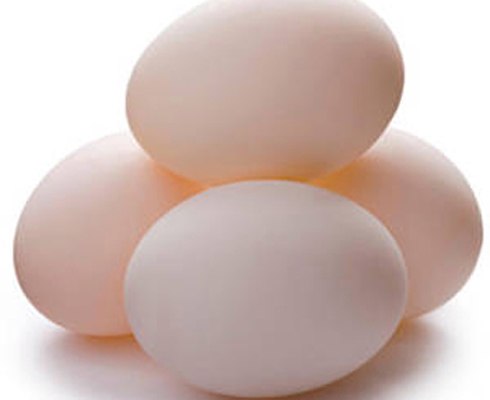 Cách chọn và sử dụng trứng 1