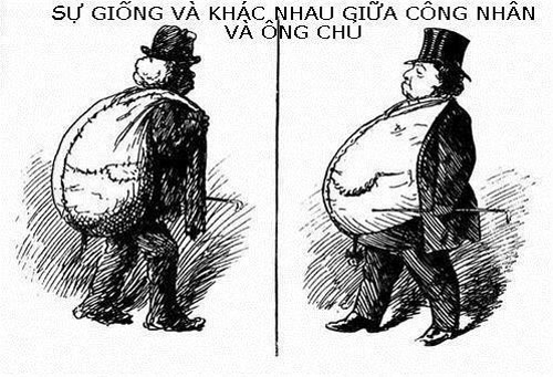 10 ảnh hot trong ngày trên Facebook 8