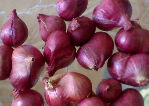 C&ocirc;ng dụng trị bệnh kh&ocirc;ng ngờ từ... gia vị 1