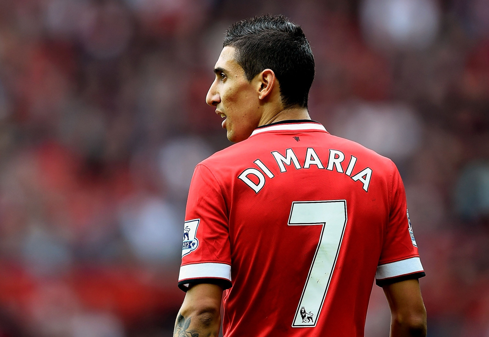 angeldimaria158433033311640541841142685b7c41cp.jpg