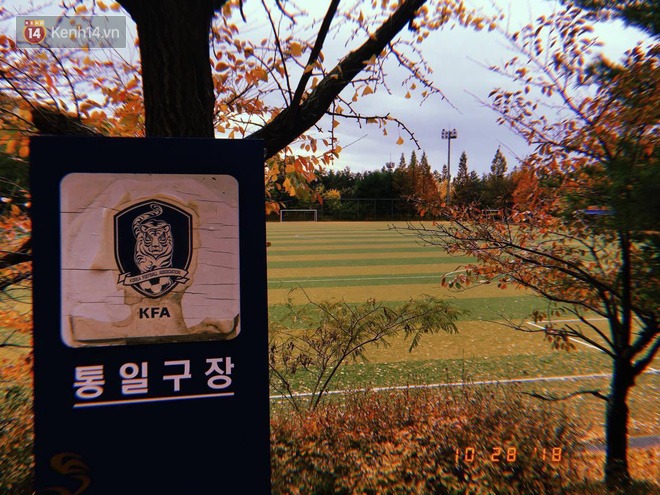 paju1585011172627175227553715850114724685119040787fc9428e13cp.jpg