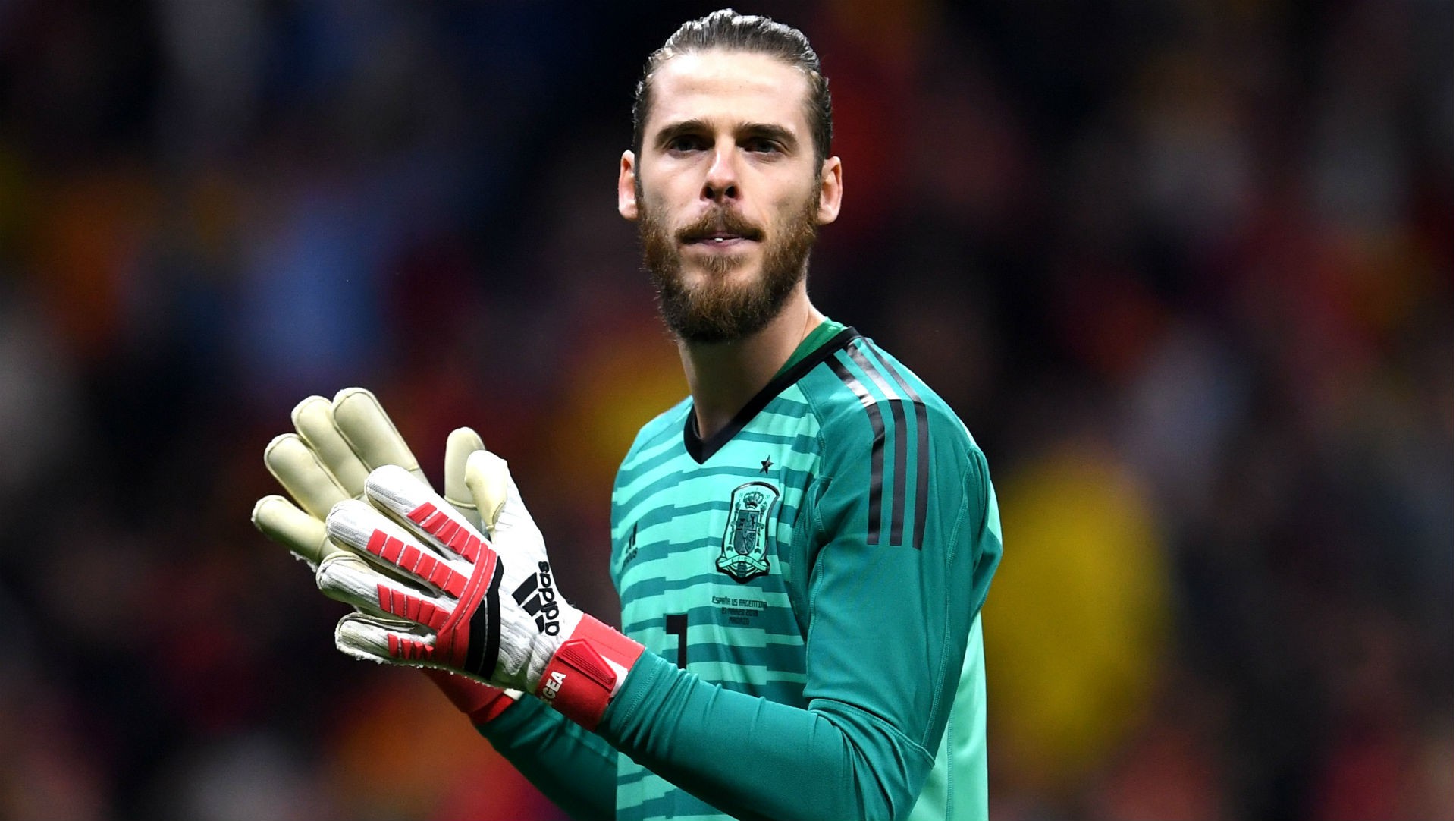 degea155240208043716901931601439858d13cp.jpg
