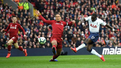 vandijk11554626117325646621943533bc8d7b6cp.jpg