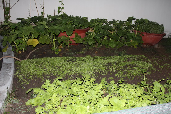  Ngắm cơ ngơi xa hoa của c&aacute;c mỹ nh&acirc;n Việt 28