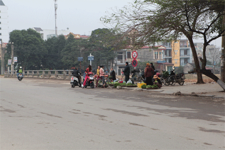 Kinh ho&agrave;ng gi&aacute; rau xanh ng&agrave;y Tết 2