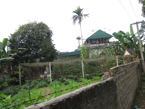 Vụ nhờ bạn hiếp d&acirc;m vợ: "Con trai t&ocirc;i bị bẫy" 2