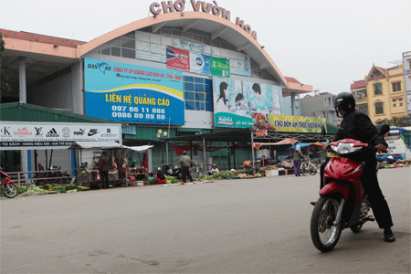 Kinh ho&agrave;ng gi&aacute; rau xanh ng&agrave;y Tết 1