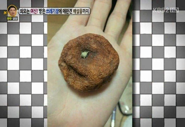 H&agrave;n Quốc: C&ocirc; g&aacute;i xinh xắn sống chung với... ph&acirc;n ch&oacute; 6