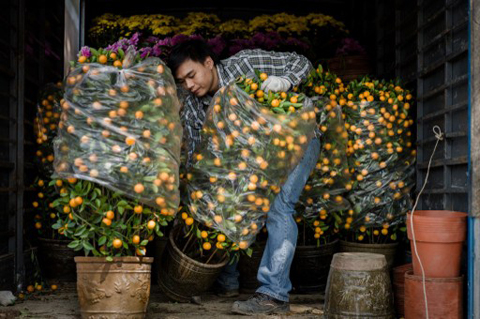 Tết rạo rực trong l&ograve;ng ch&acirc;u &Aacute; 6