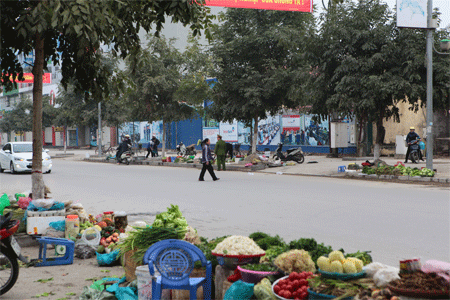 Kinh ho&agrave;ng gi&aacute; rau xanh ng&agrave;y Tết 4