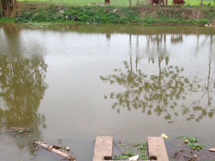 Đau l&ograve;ng mẹ mang bầu buộc theo con trai 5 tuổi nhảy s&ocirc;ng tự tử 1