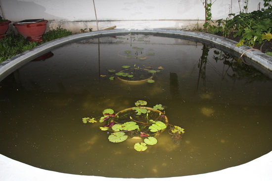  Ngắm cơ ngơi xa hoa của c&aacute;c mỹ nh&acirc;n Việt 27