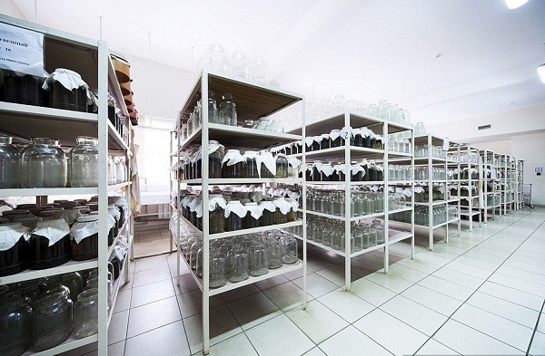 Th&aacute;m th&iacute;nh nh&agrave; m&aacute;y chuy&ecirc;n "chăn nu&ocirc;i" đỉa 3