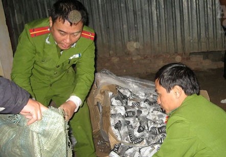 Bắt tr&ecirc;n 1.000 đ&ocirc;i giầy nghi l&agrave;m giả Adidas v&agrave; Nike nhập lậu 6