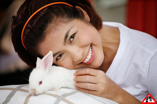 Nghi &aacute;n H&agrave; Tăng từng chỉnh sửa mũi 8