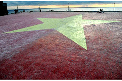 10 kỷ lục Việt Nam nổi bật nhất năm qua 4