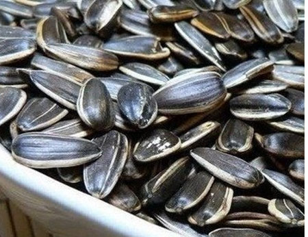 H&agrave;ng loạt m&oacute;n ăn vặt d&iacute;nh chất độc g&acirc;y teo n&atilde;o 2