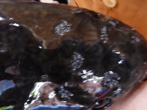 Những con c&aacute; lạ g&acirc;y x&ocirc;n xao dư luận ở Việt Nam  4