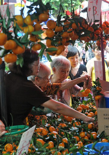 Tết rạo rực trong l&ograve;ng ch&acirc;u &Aacute; 11