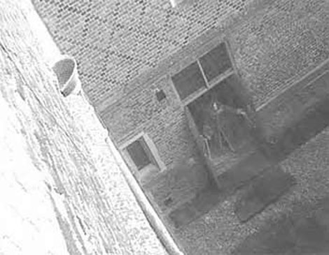 Những bức "ảnh ma" chấn động thế giới 12