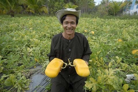 Đ&agrave;o, quất tiền trăm m&agrave; ế ẩm... Dưa, g&agrave; chục triệu vẫn ch&aacute;y h&agrave;ng 4