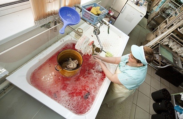 Th&aacute;m th&iacute;nh nh&agrave; m&aacute;y chuy&ecirc;n "chăn nu&ocirc;i" đỉa 12