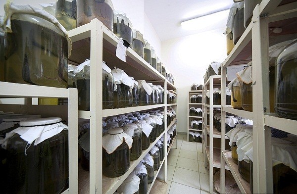 Th&aacute;m th&iacute;nh nh&agrave; m&aacute;y chuy&ecirc;n "chăn nu&ocirc;i" đỉa 14