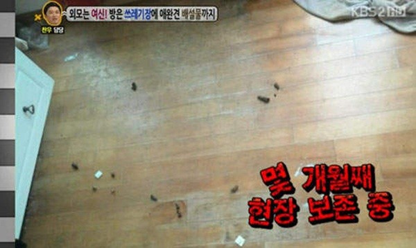 H&agrave;n Quốc: C&ocirc; g&aacute;i xinh xắn sống chung với... ph&acirc;n ch&oacute; 8