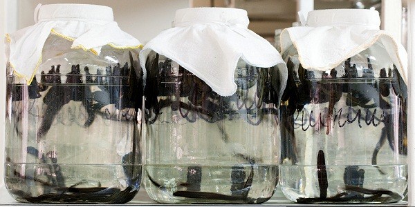 Th&aacute;m th&iacute;nh nh&agrave; m&aacute;y chuy&ecirc;n "chăn nu&ocirc;i" đỉa 10