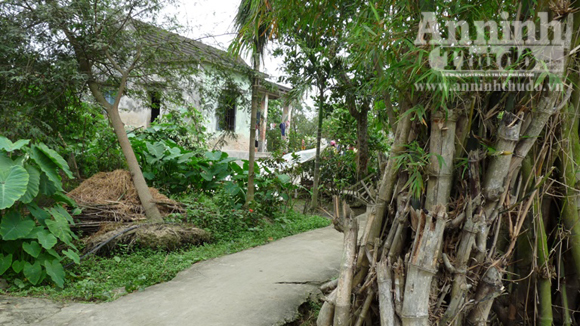 D&igrave; ruột ch&aacute;u b&eacute; 5 tuổi bị &ocirc;ng nội thi&ecirc;u sống su&yacute;t lĩnh đ&ograve;n hội đồng 2