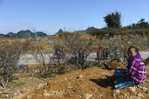 Tết rạo rực trong l&ograve;ng ch&acirc;u &Aacute; 7