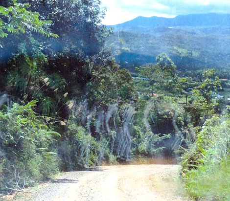 Những bức "ảnh ma" chấn động thế giới 1