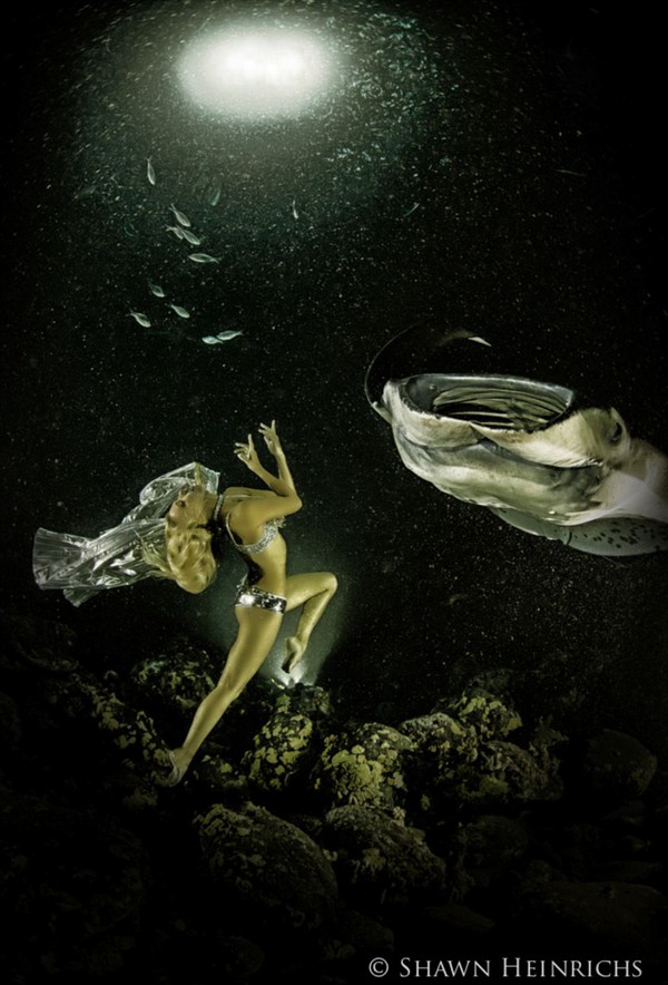 Bộ ảnh người đẹp nhảy m&uacute;a c&ugrave;ng c&aacute; đuối 9