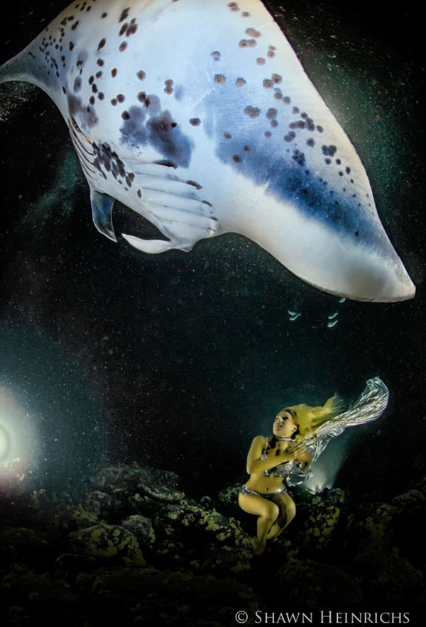 Bộ ảnh người đẹp nhảy m&uacute;a c&ugrave;ng c&aacute; đuối 10