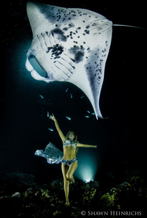 Bộ ảnh người đẹp nhảy m&uacute;a c&ugrave;ng c&aacute; đuối 7