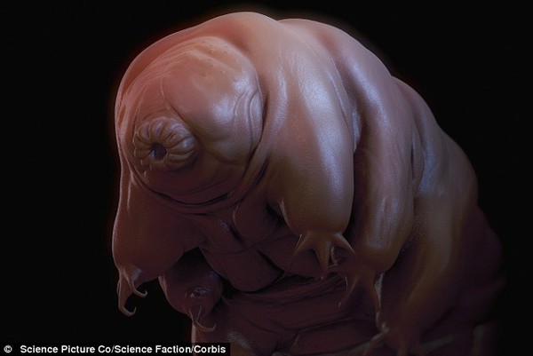 Sinh vật xấu x&iacute;, sống dai nhất tr&ecirc;n Tr&aacute;i đất 9