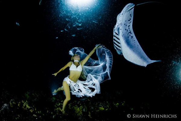 Bộ ảnh người đẹp nhảy m&uacute;a c&ugrave;ng c&aacute; đuối 1