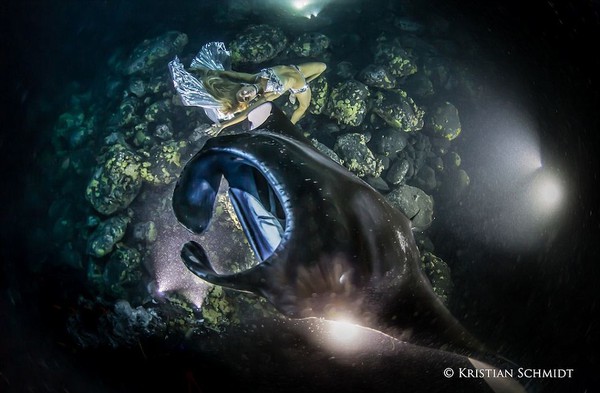 Bộ ảnh người đẹp nhảy m&uacute;a c&ugrave;ng c&aacute; đuối 3