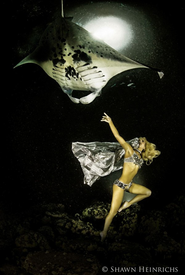 Bộ ảnh người đẹp nhảy m&uacute;a c&ugrave;ng c&aacute; đuối 11