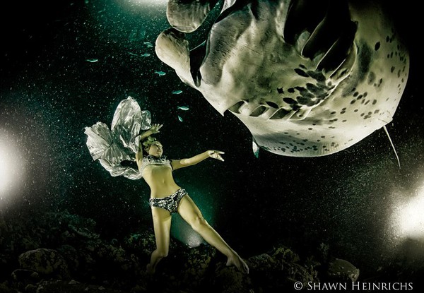 Bộ ảnh người đẹp nhảy m&uacute;a c&ugrave;ng c&aacute; đuối 13