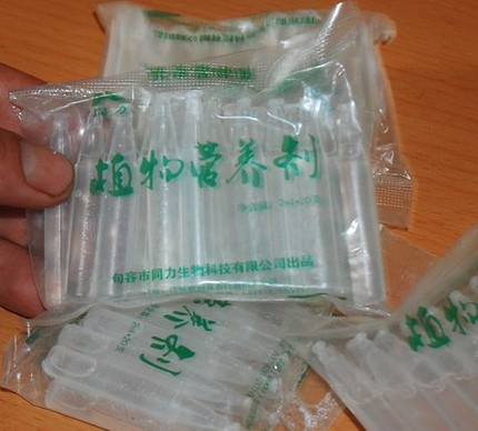 Gi&aacute; đỗ trắng đẹp nhờ... h&oacute;a chất 1