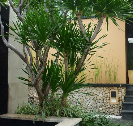 Cải tạo nh&agrave; 77m&sup2; tho&aacute;ng m&aacute;t v&agrave; đủ s&aacute;ng 12
